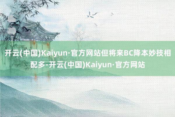 开云(中国)Kaiyun·官方网站但将来BC降本妙技相配多-开云(中国)Kaiyun·官方网站