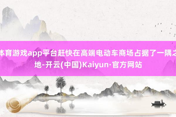 体育游戏app平台赶快在高端电动车商场占据了一隅之地-开云(中国)Kaiyun·官方网站