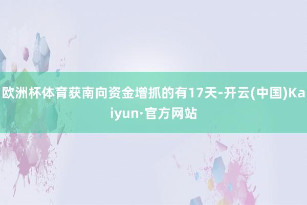 欧洲杯体育获南向资金增抓的有17天-开云(中国)Kaiyun·官方网站