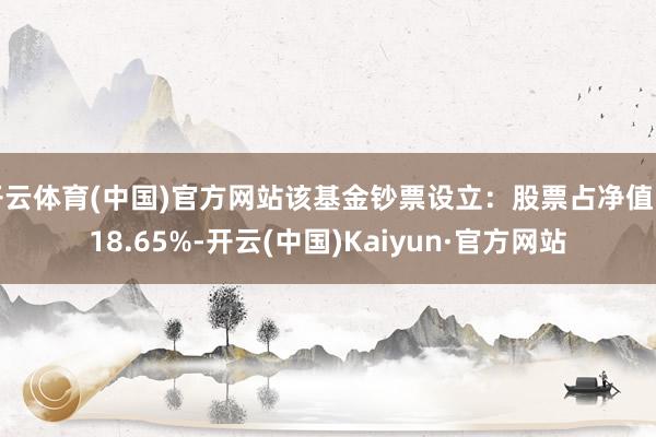 开云体育(中国)官方网站该基金钞票设立：股票占净值比18.65%-开云(中国)Kaiyun·官方网站